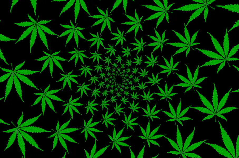 Art Sex Weed Porn - Are You Addicted To Marijuana? Take This Quiz
