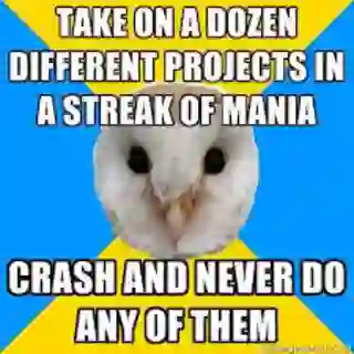 projects meme