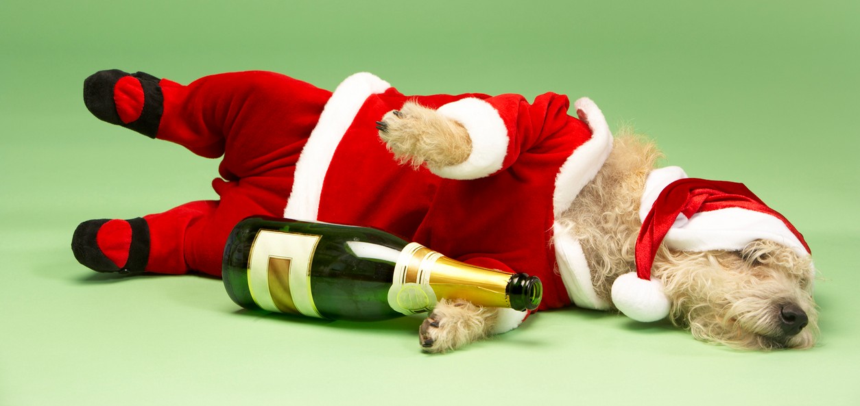 Holiday Drinking Recognizing When Its A Problem