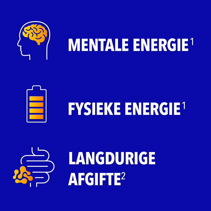 Mentale energie, Fysieke enerige, Langdurige afgifte