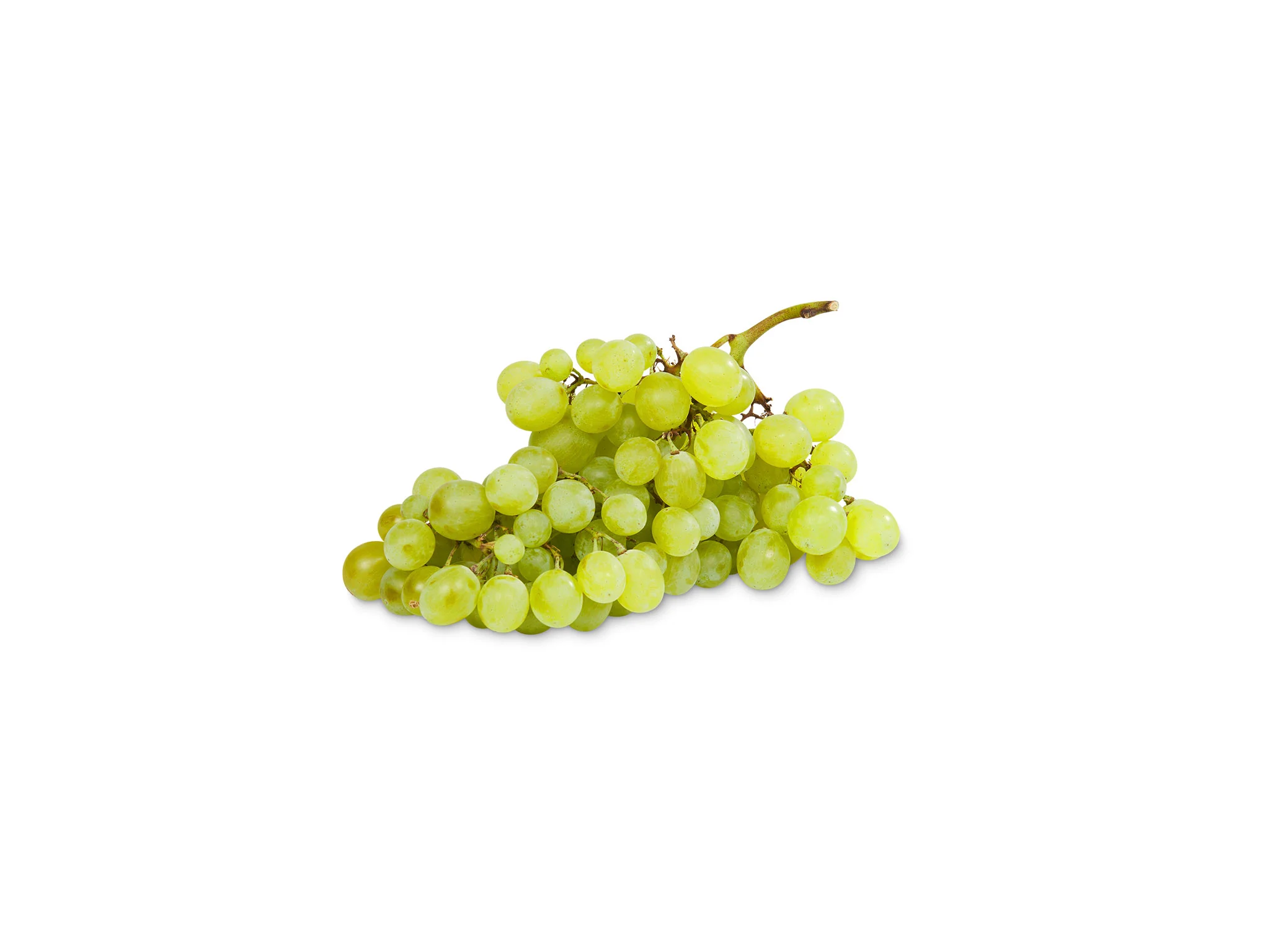 Uva Italia