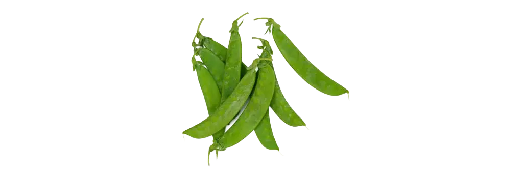 piccolo, fedelini e verde taccola