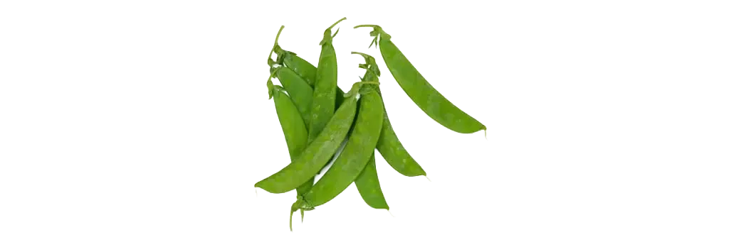 piccolo, fedelini e verde taccola
