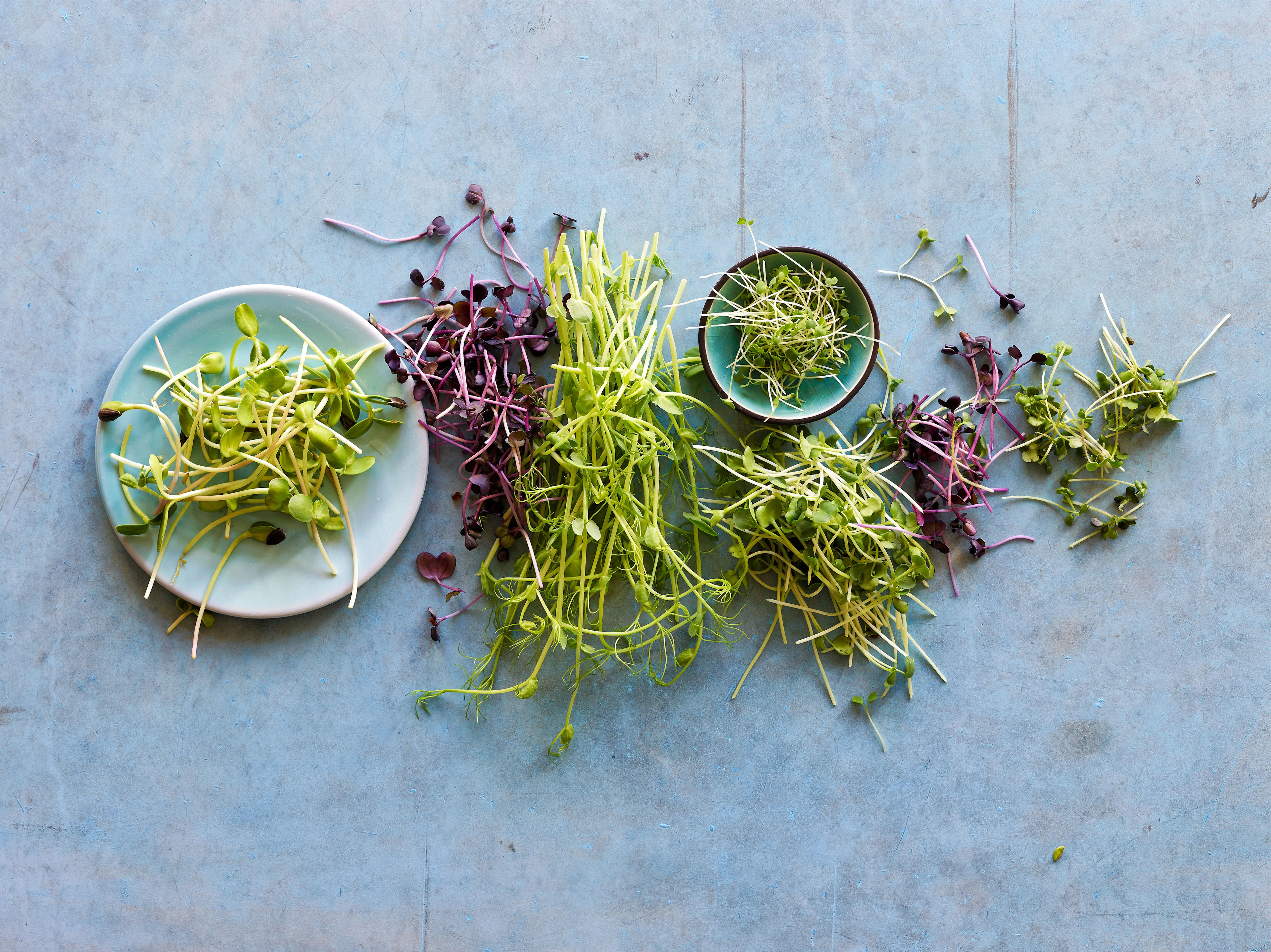 Diversi microgreen