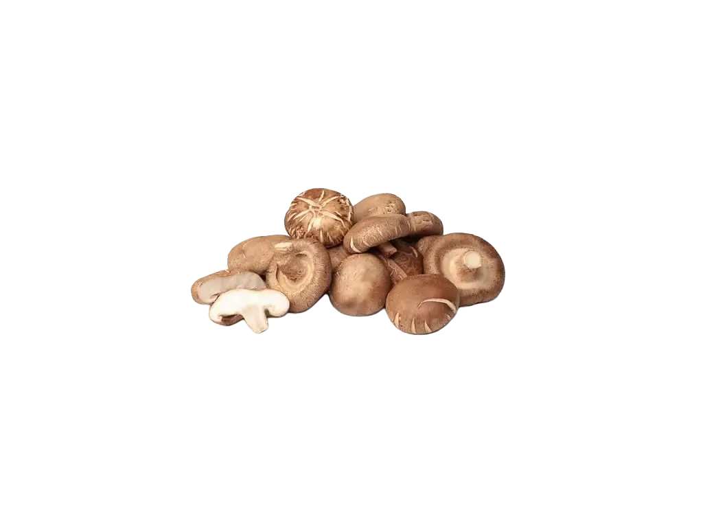 Shiitake