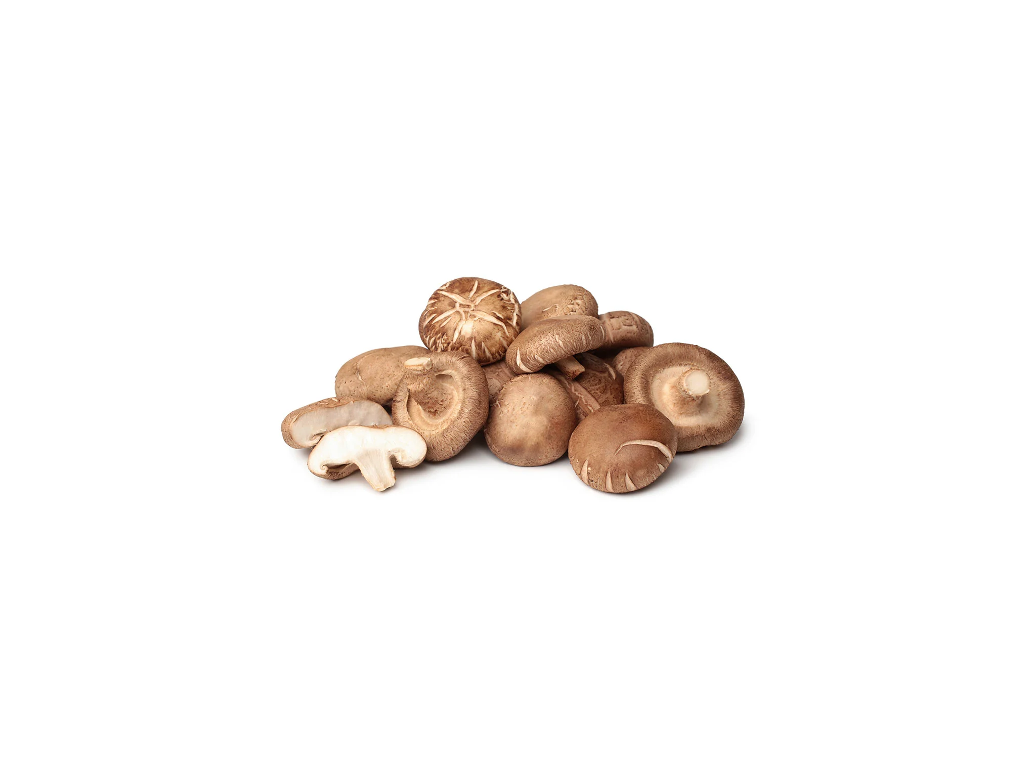 Shiitake