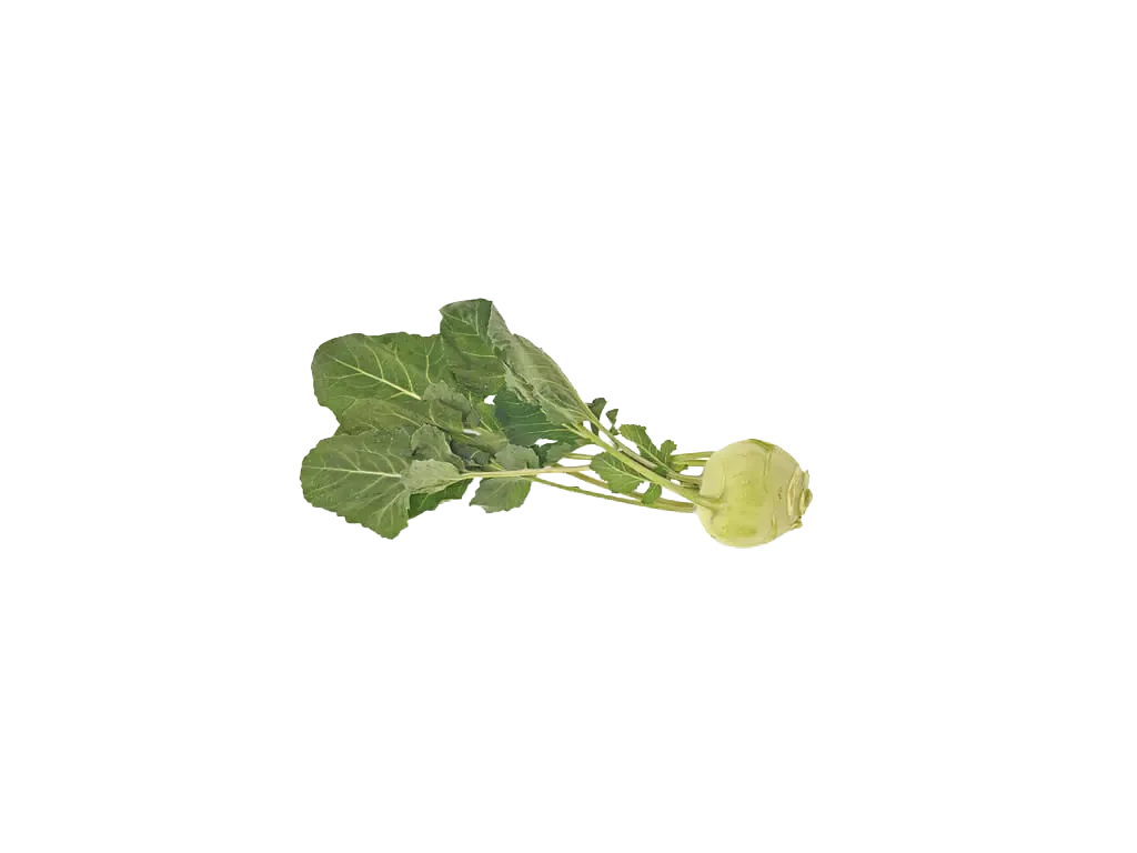 Kohlrabi