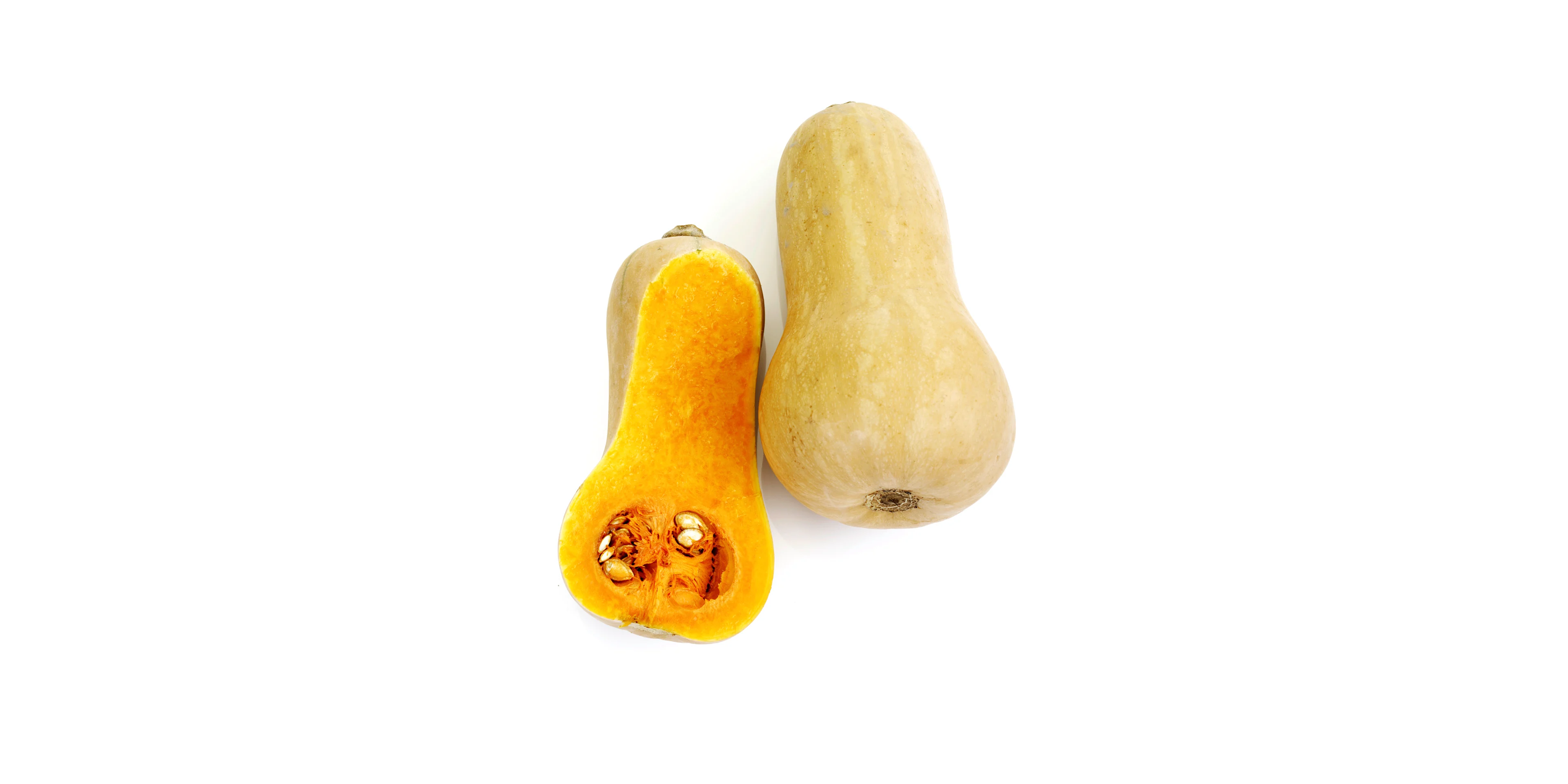 Butternut