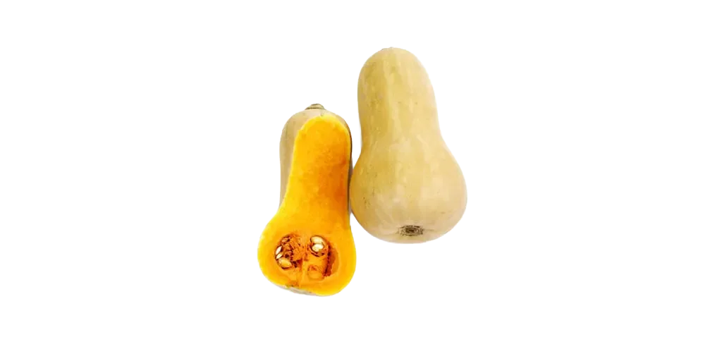 Butternuss