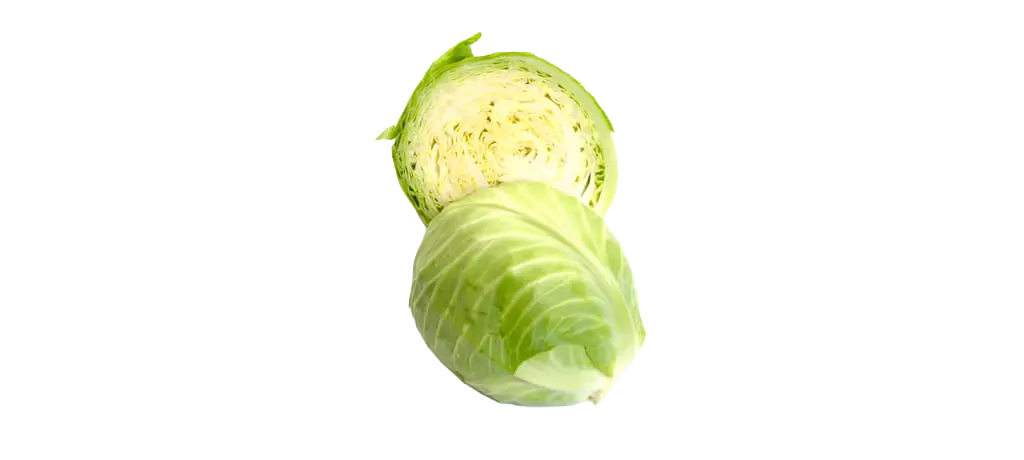Weisskohl / Weisskabis
