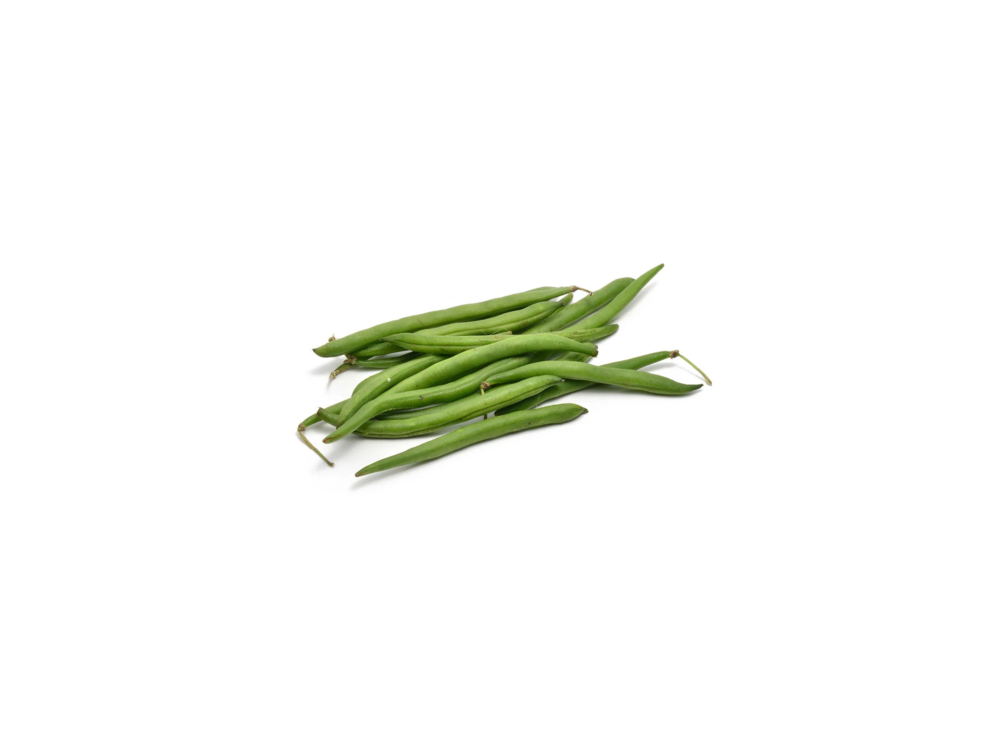 Haricot vert nain
