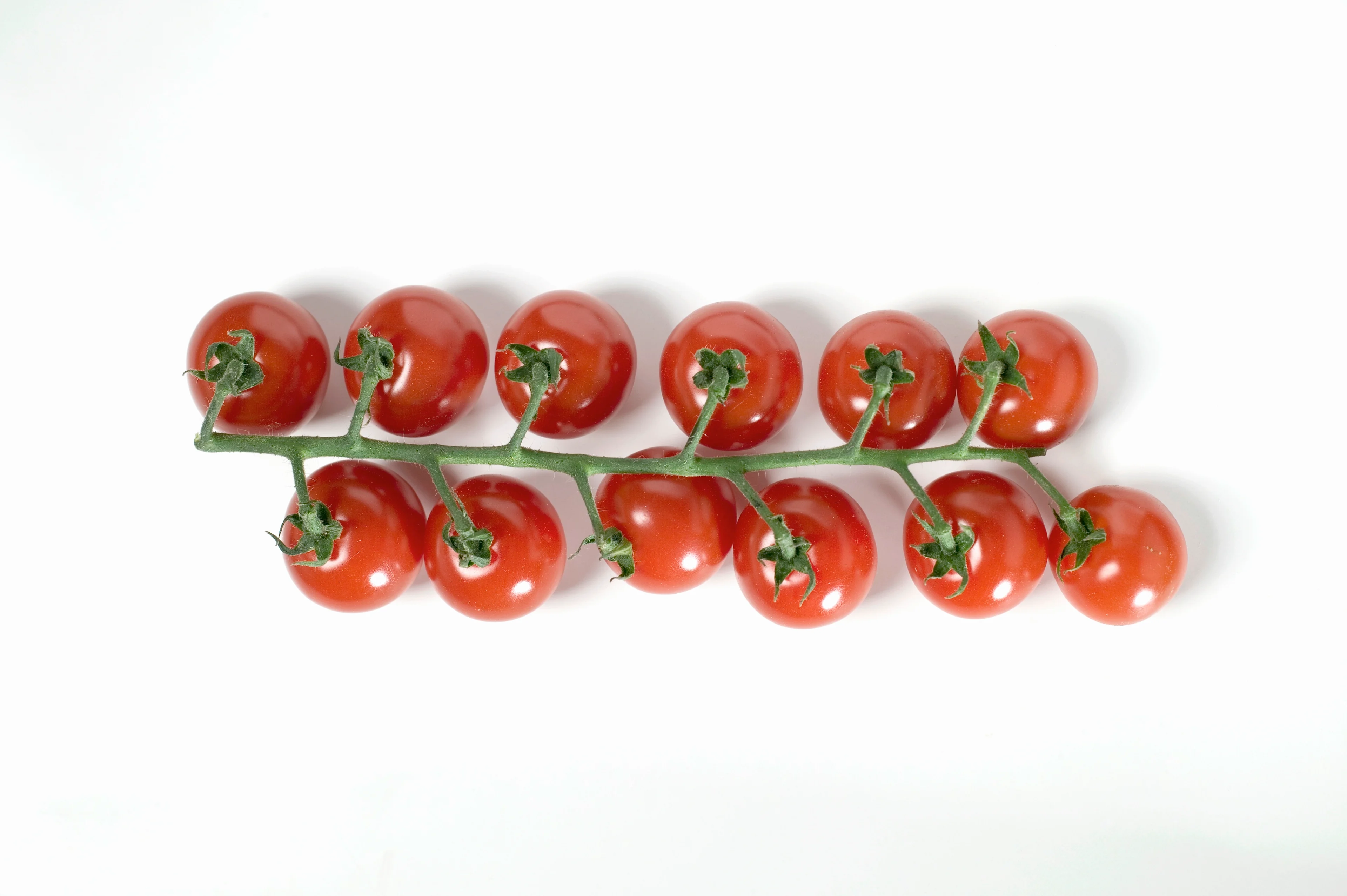 Mehrere Cocktailtomaten am Zweig