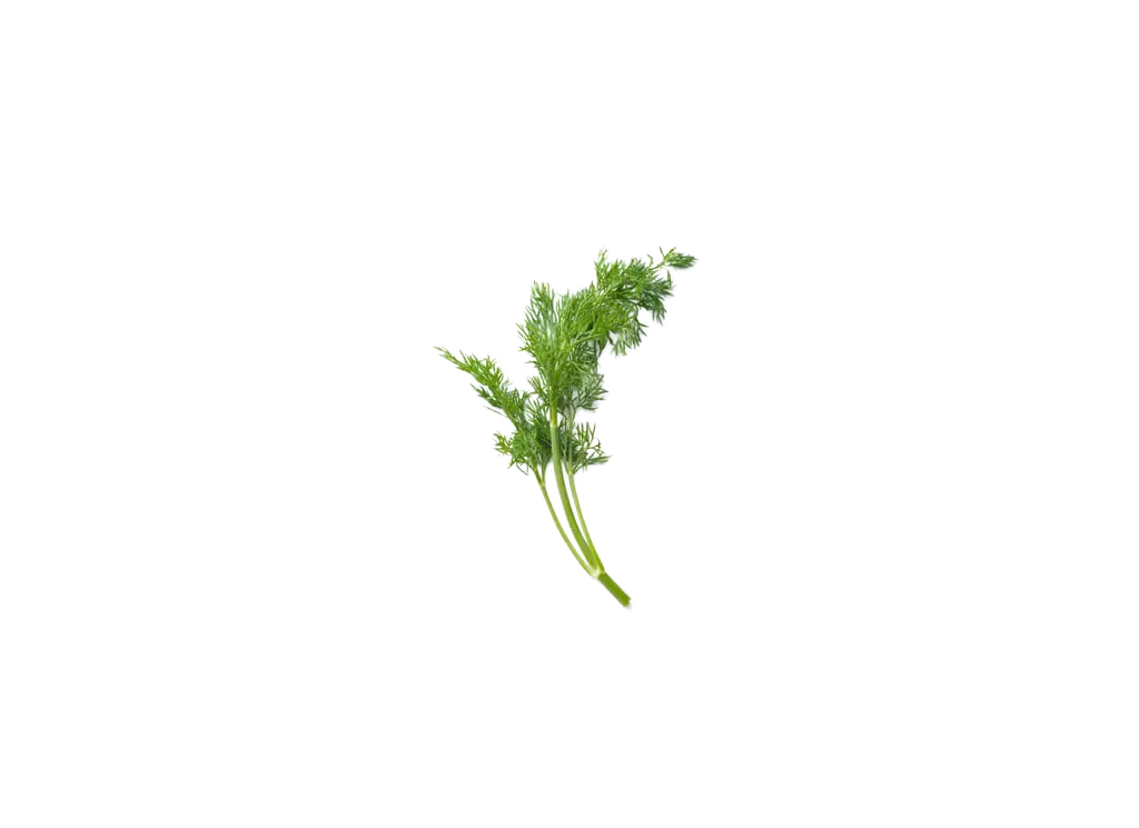 Dill