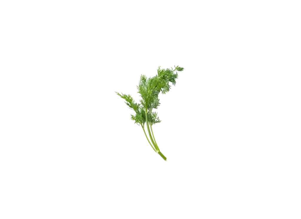 Dill