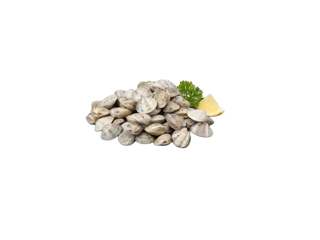 Vongole