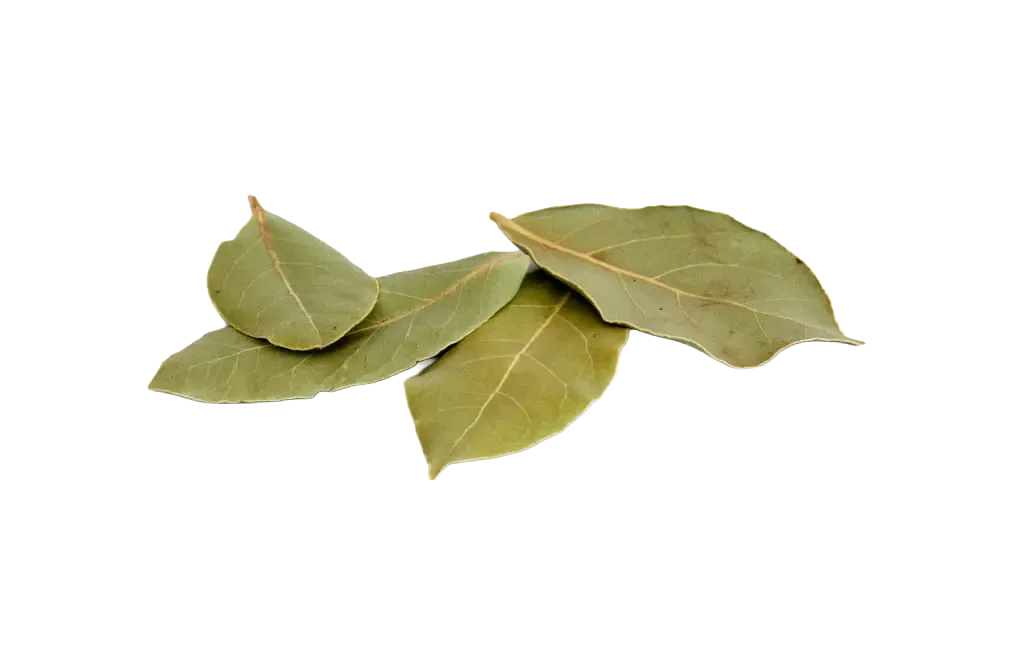 Lorbeerblätter