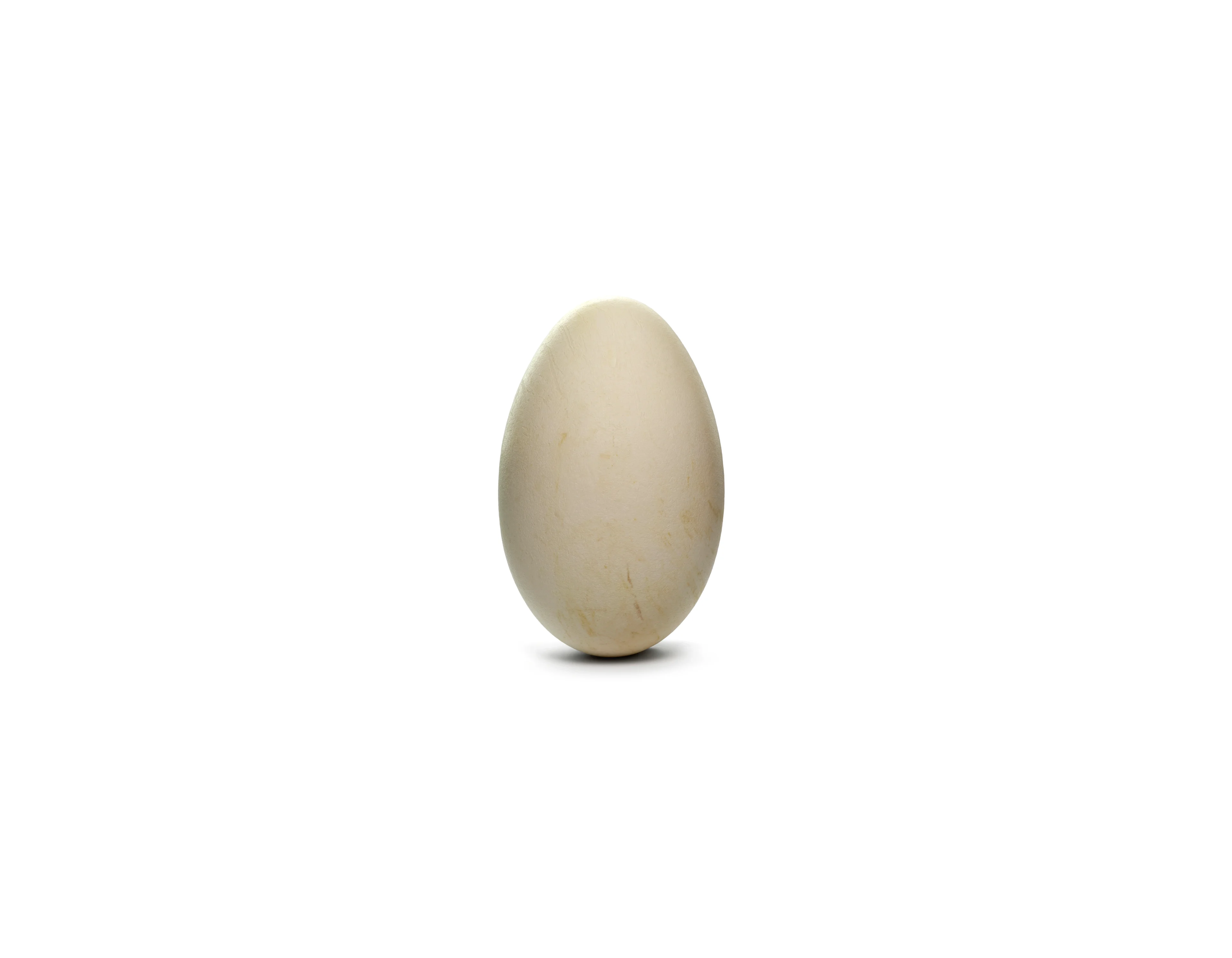 Gänseei