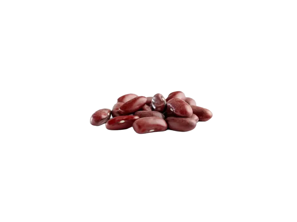 Kidneybohnen