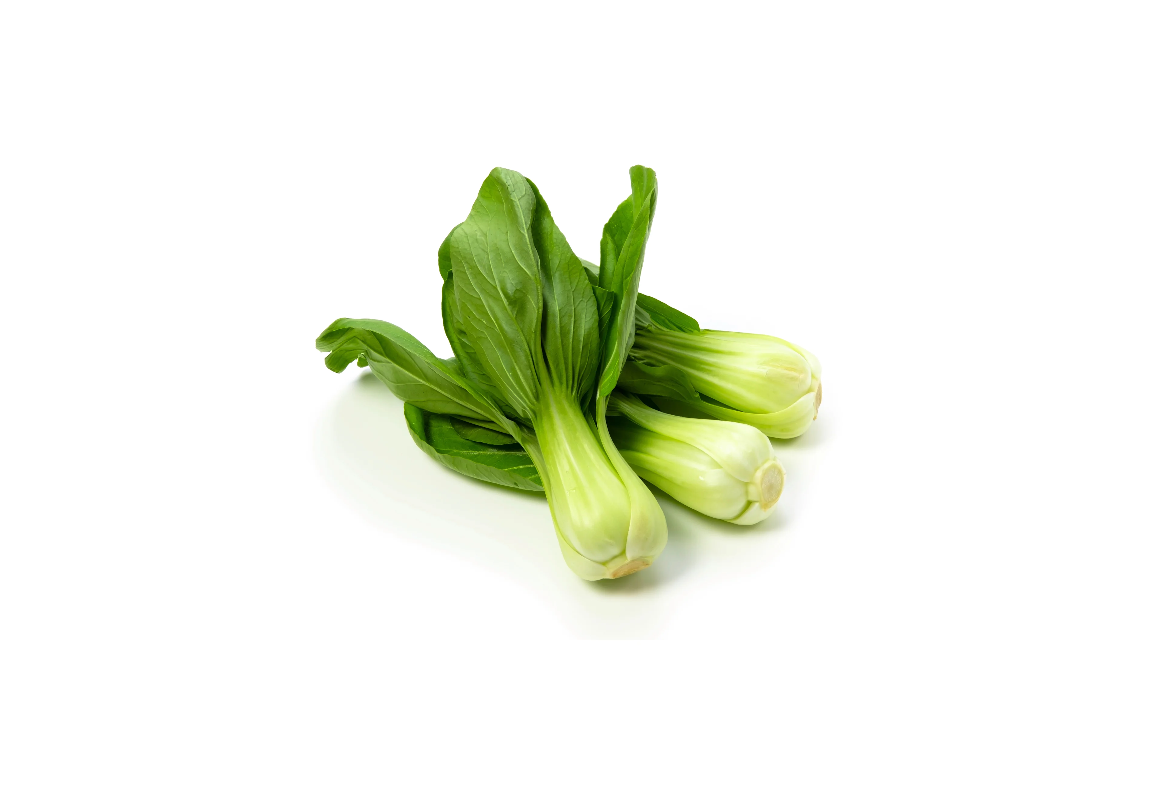 Pak Choi