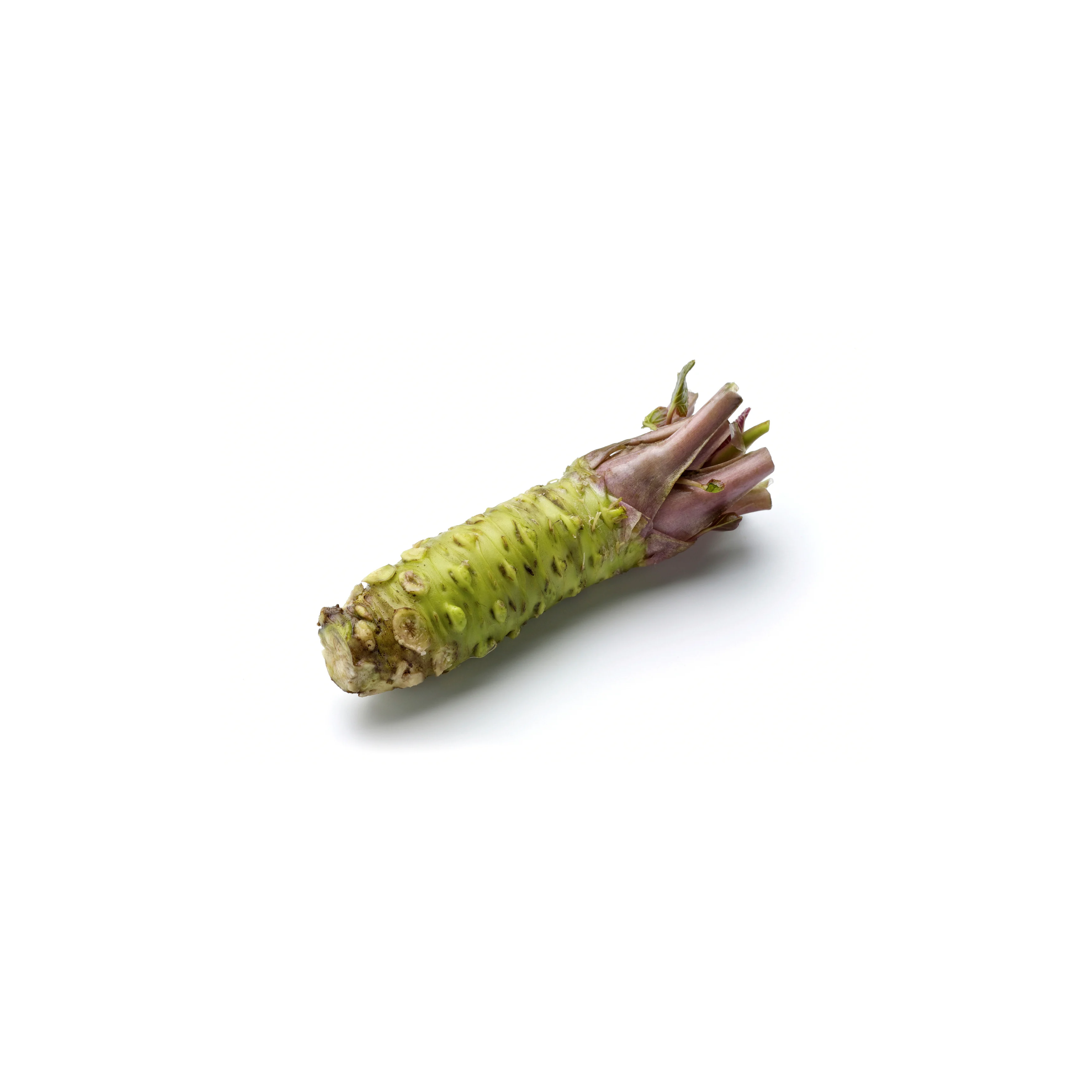 Wasabi