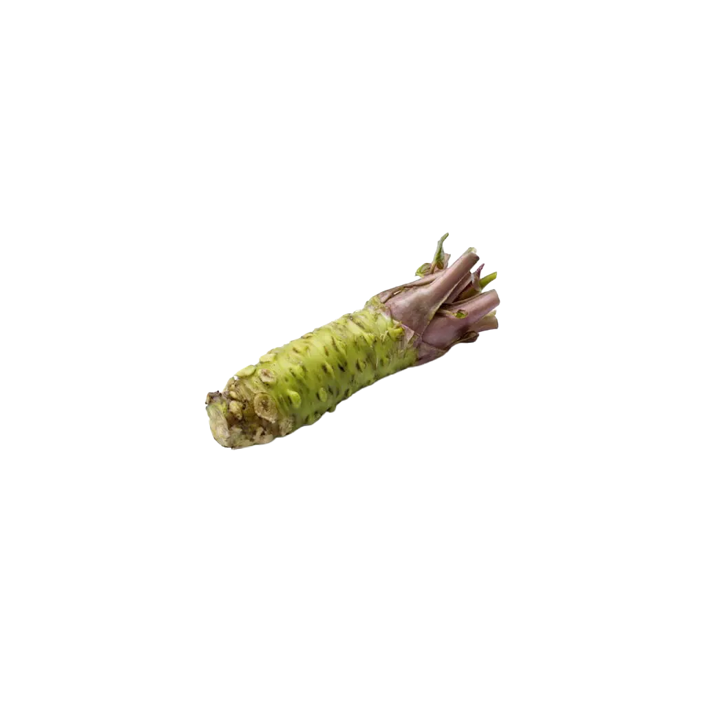 Wasabi