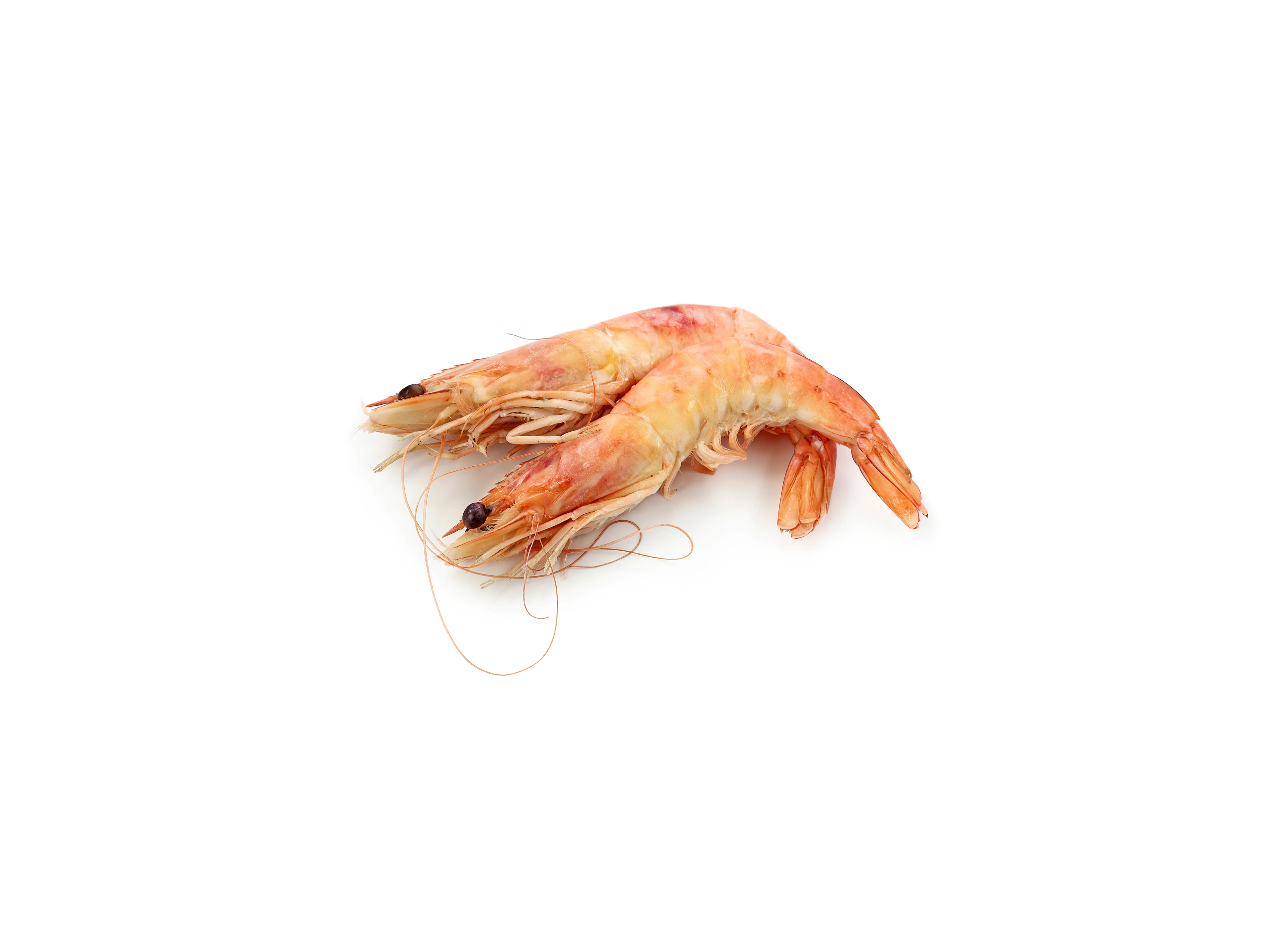 King Prawns