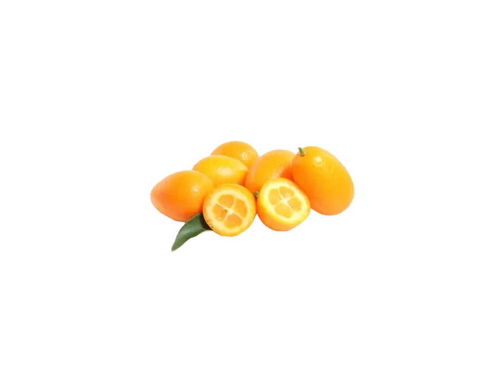 Kumquat