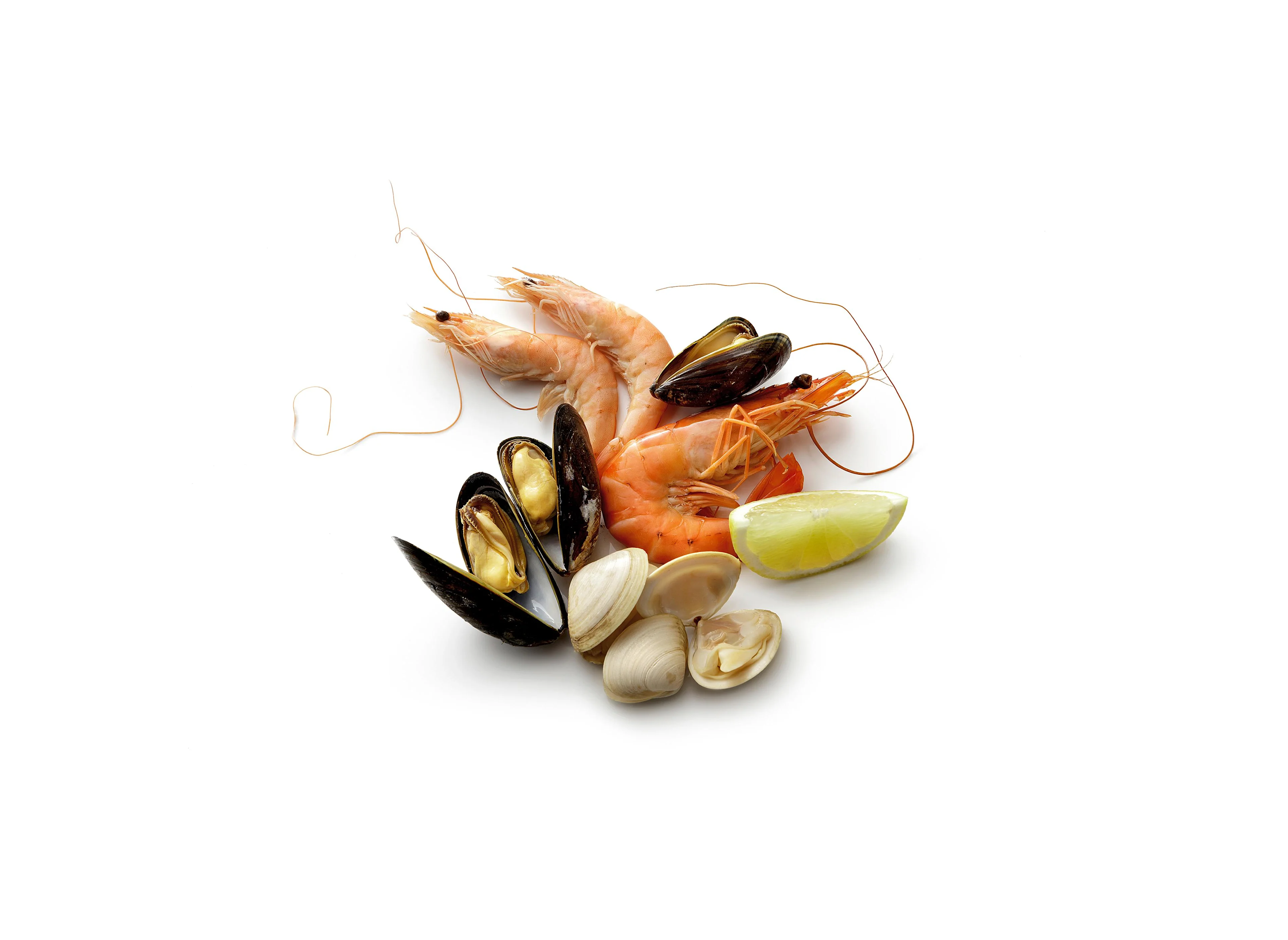 Fruits de mer