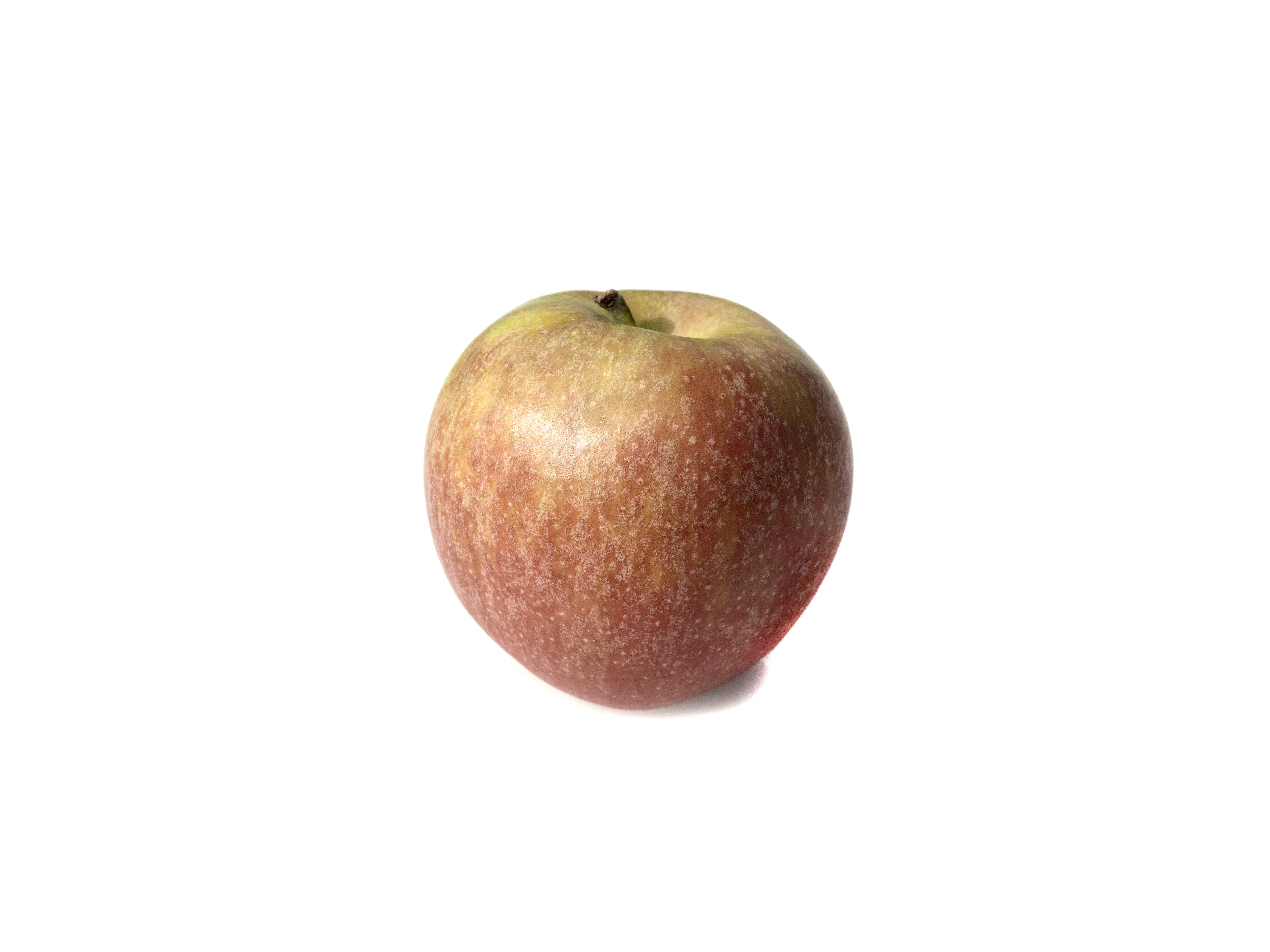 Boskoop