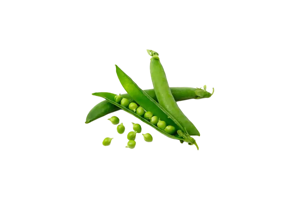 Erbsen