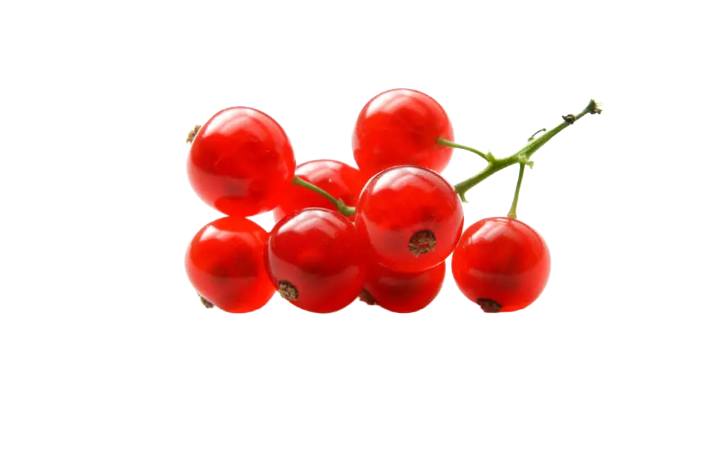 Johannisbeeren