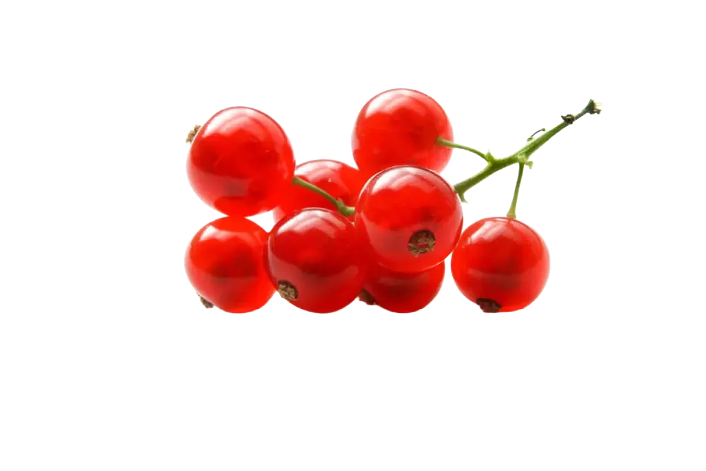 Johannisbeeren