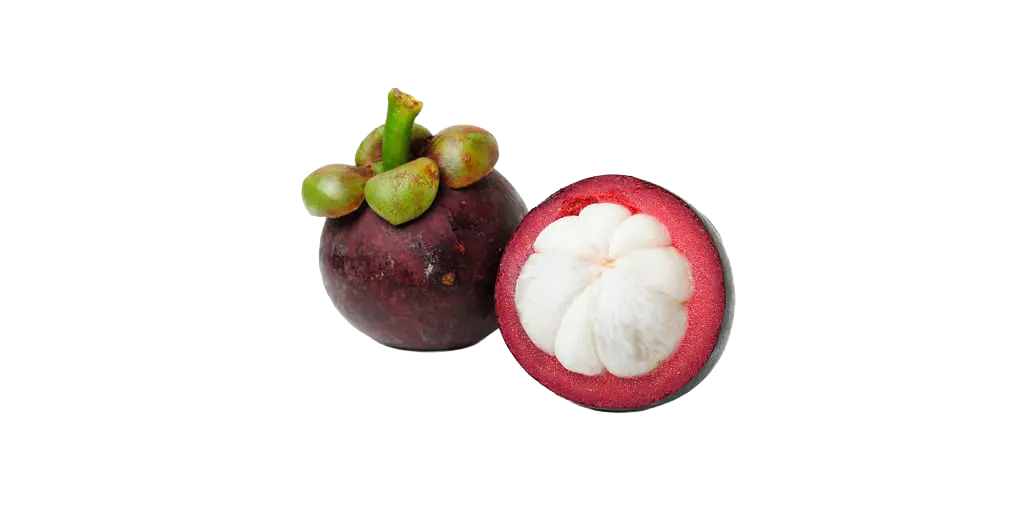 Mangostano
