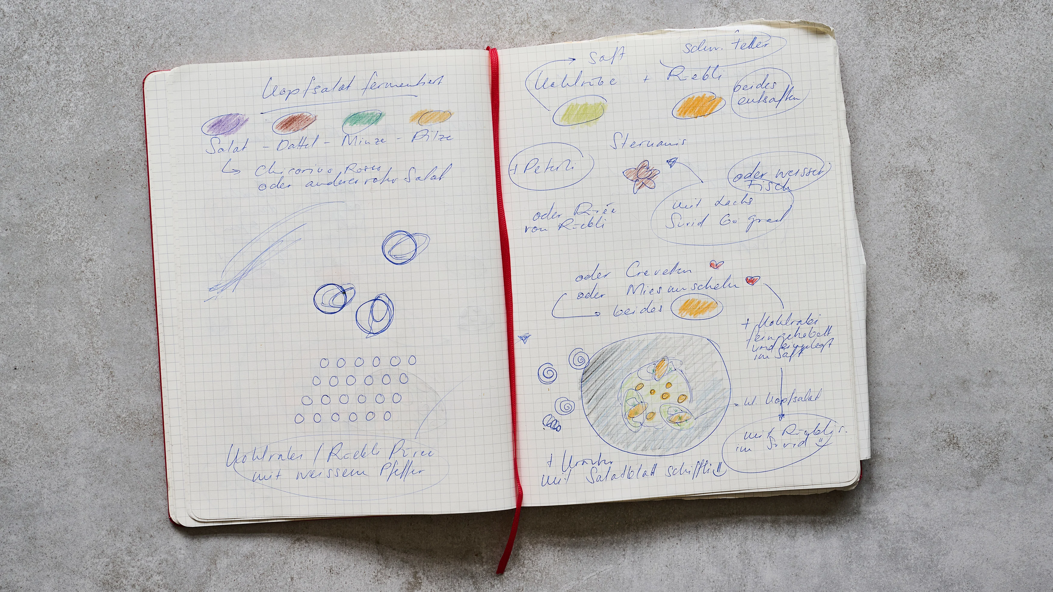 Skizze aus dem Skizzenbuch von Masterchef-Gewinnerin Corinne