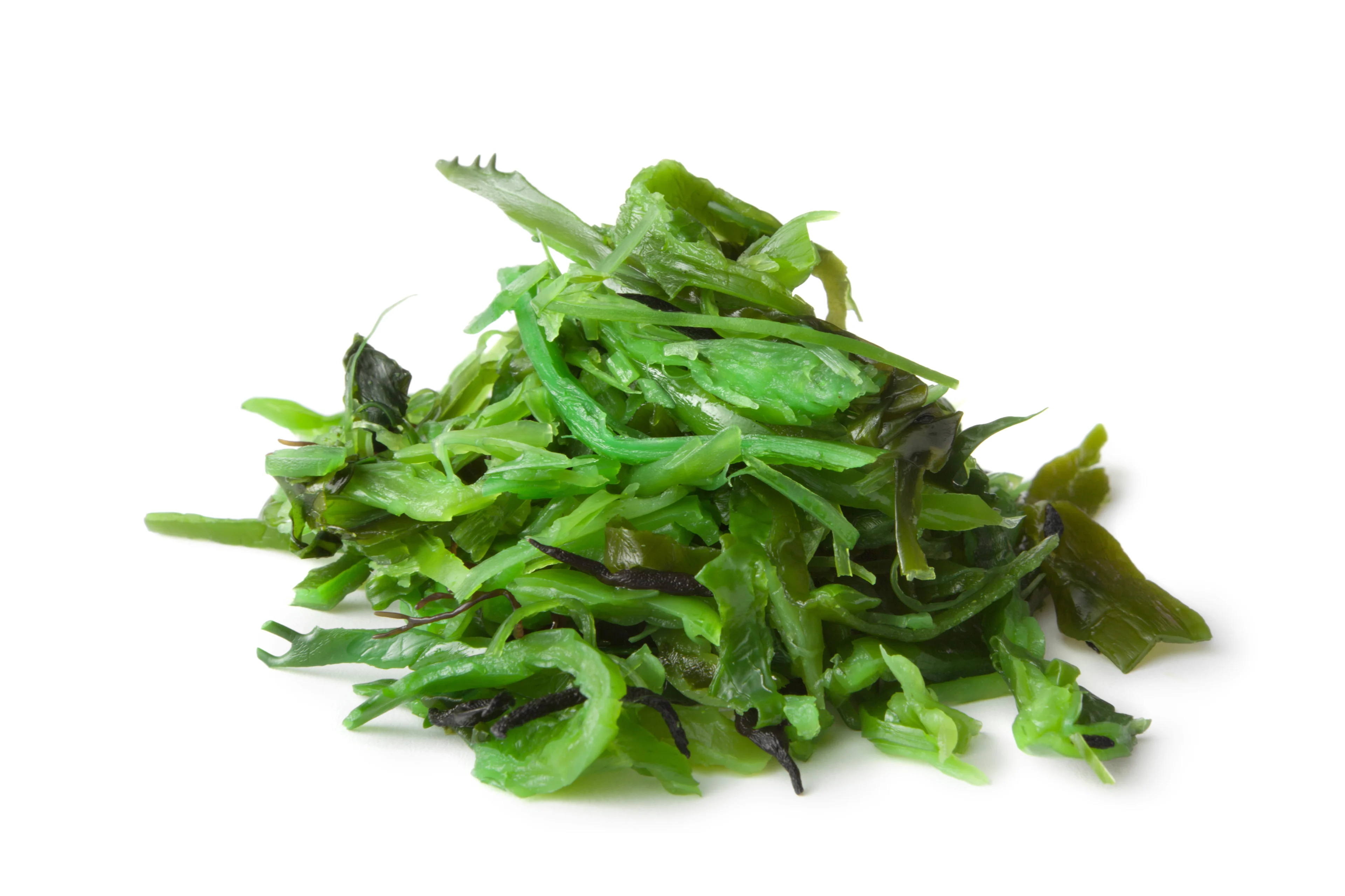 Wakame Algen