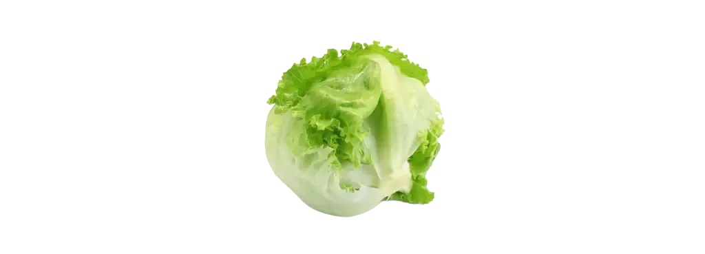 Eisbergsalat