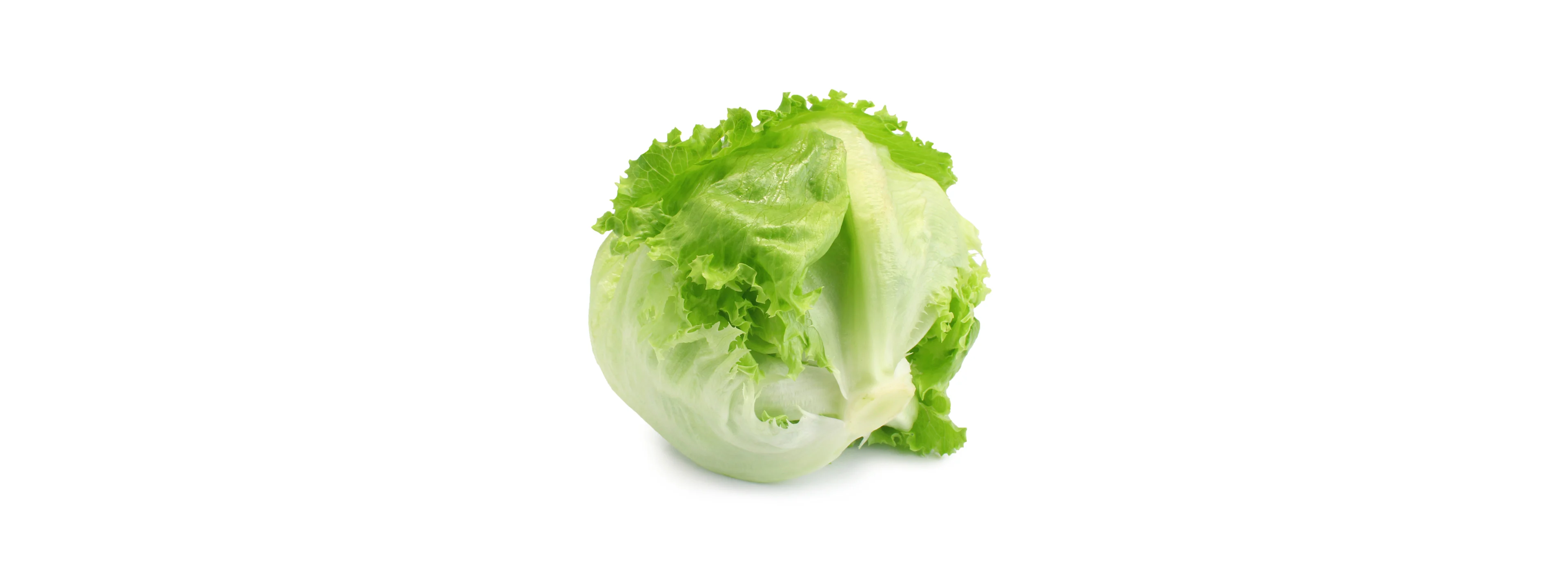 Eisbergsalat