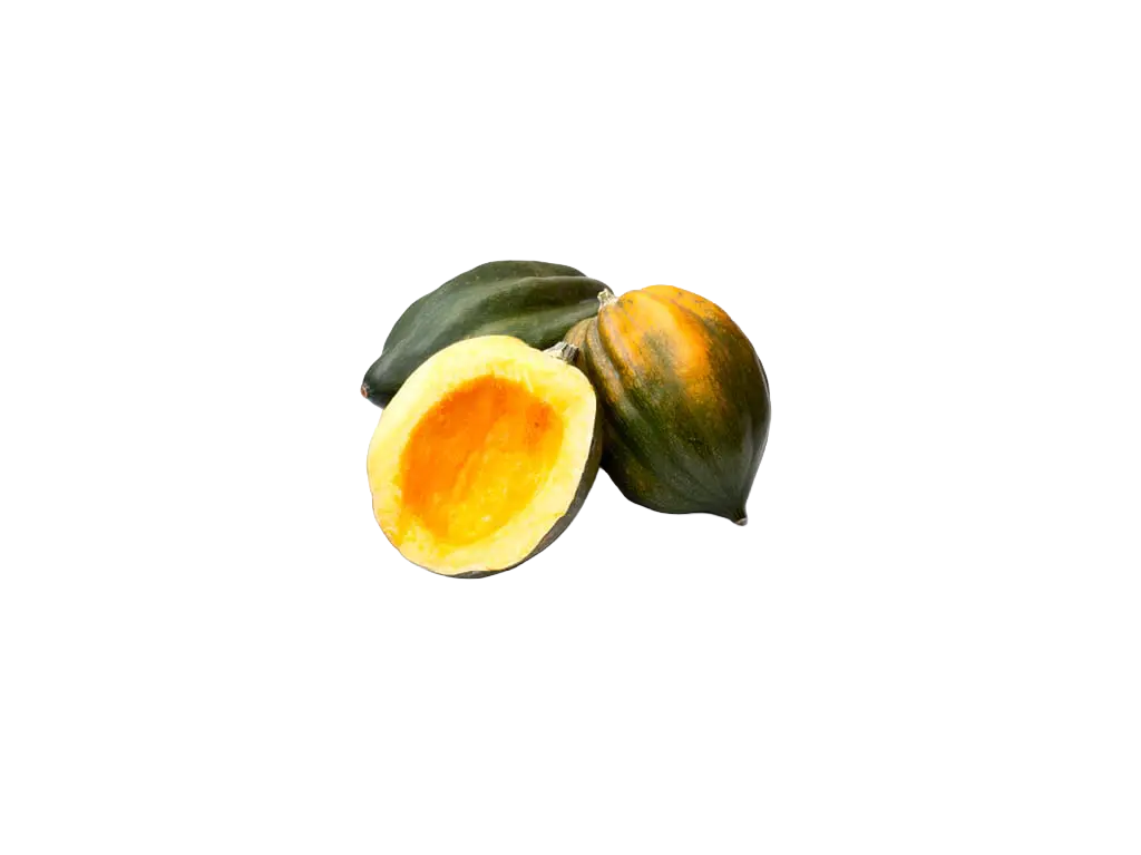 Acorn