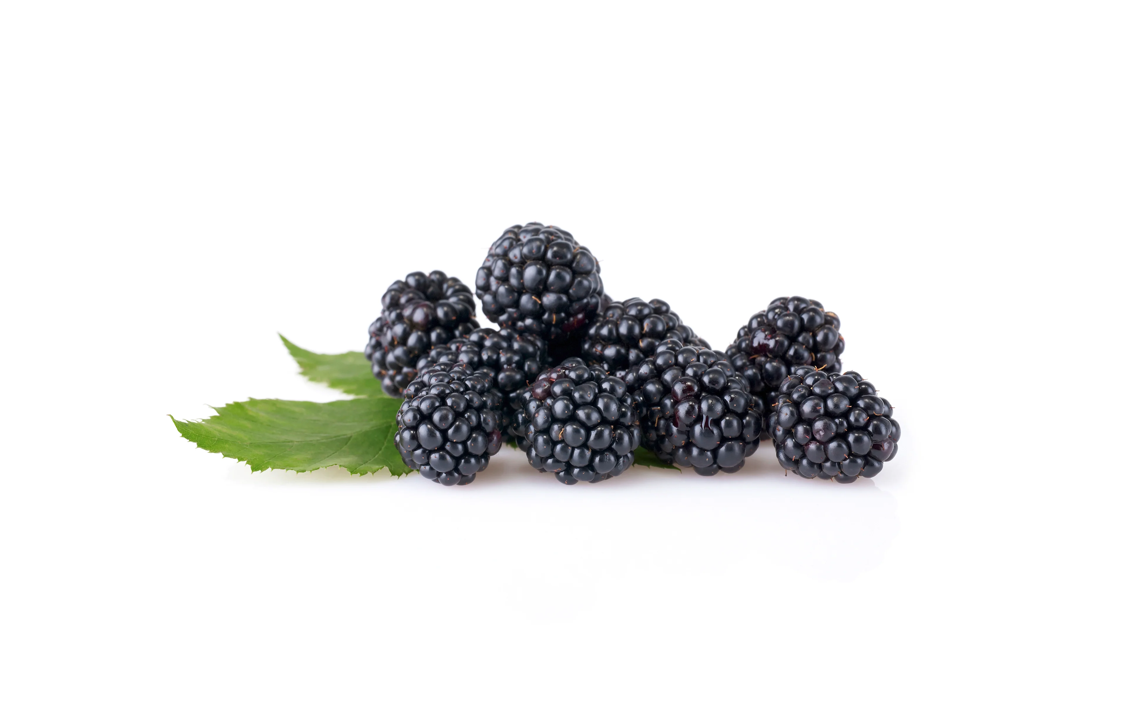 mehrere frische Brombeeren