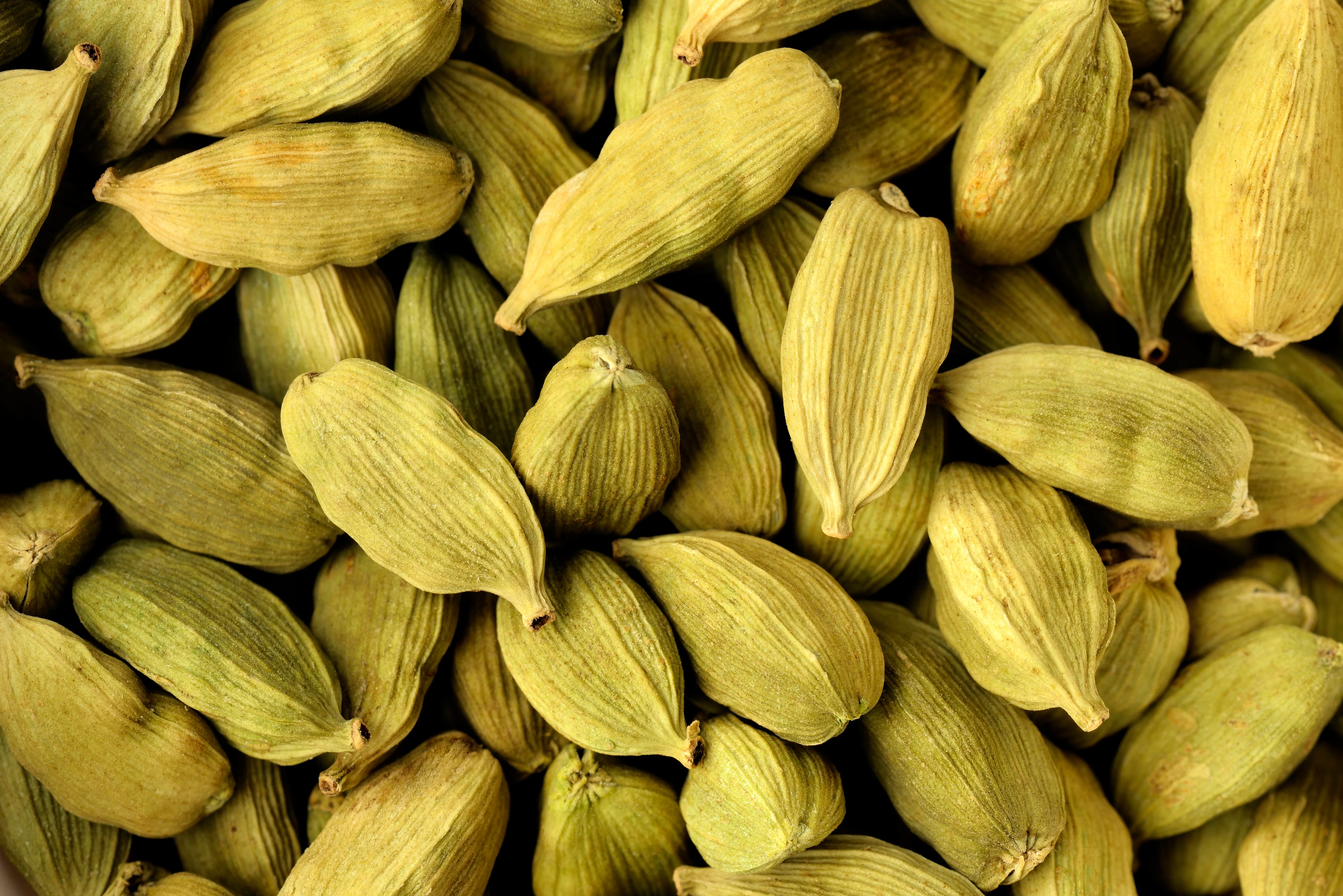 Cardamomo