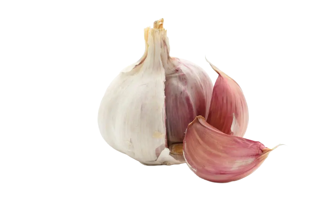 Aglio