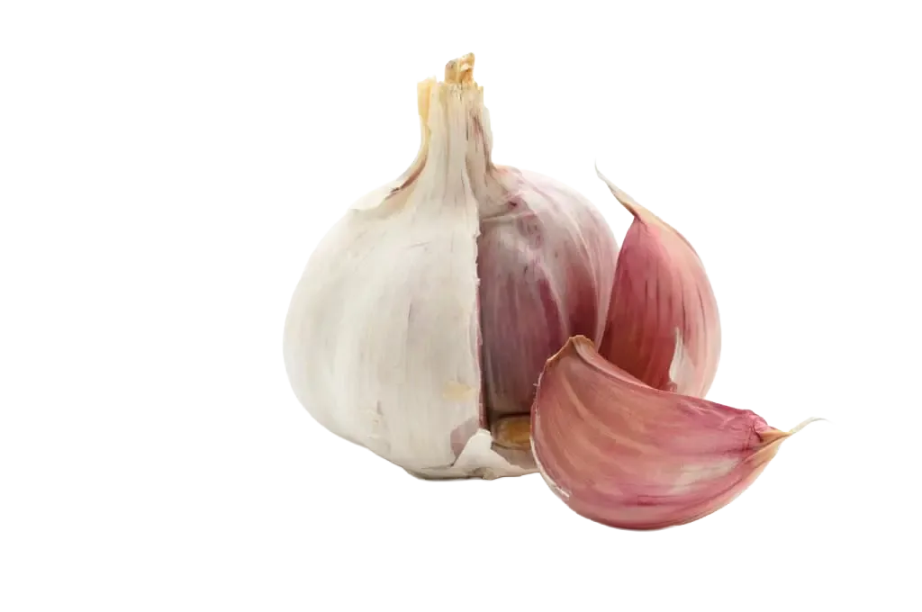 Knoblauch