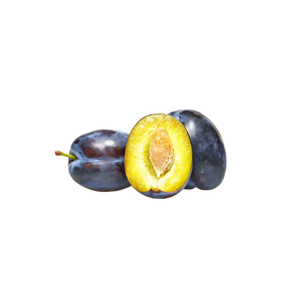 Zwetschge