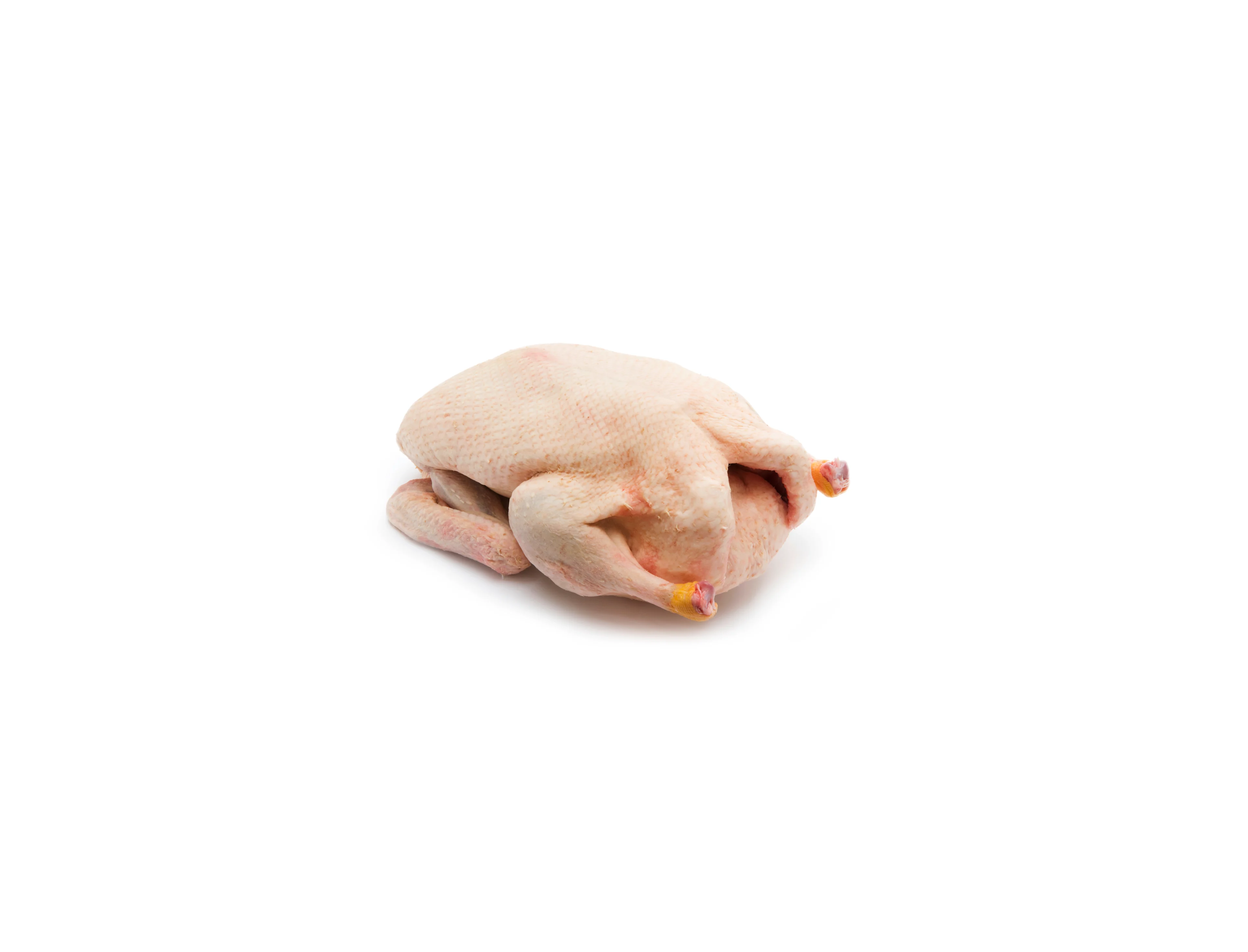 Entenfleisch