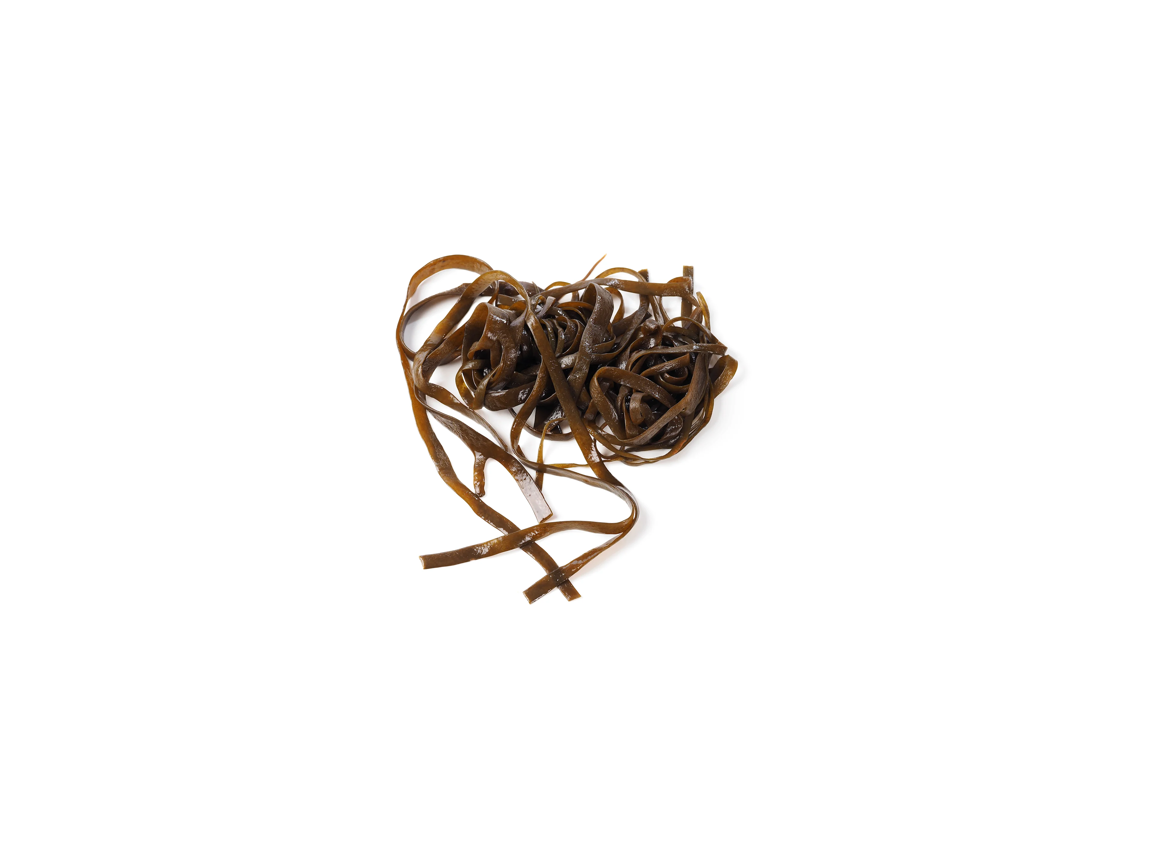 Meeresspaghetti Algen