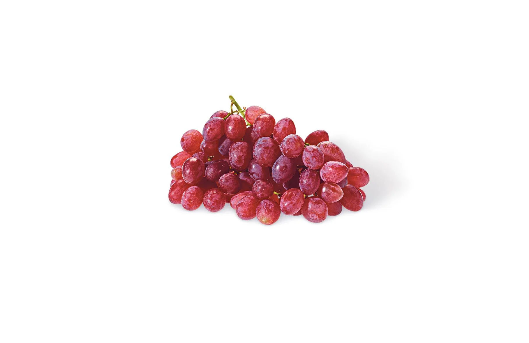 Trauben, rosé