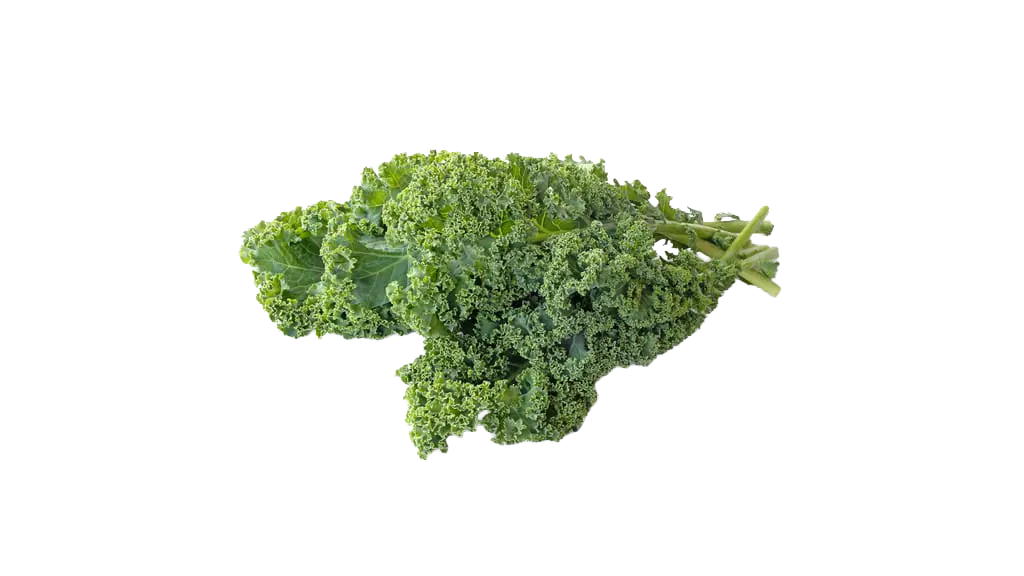 Federkohl
