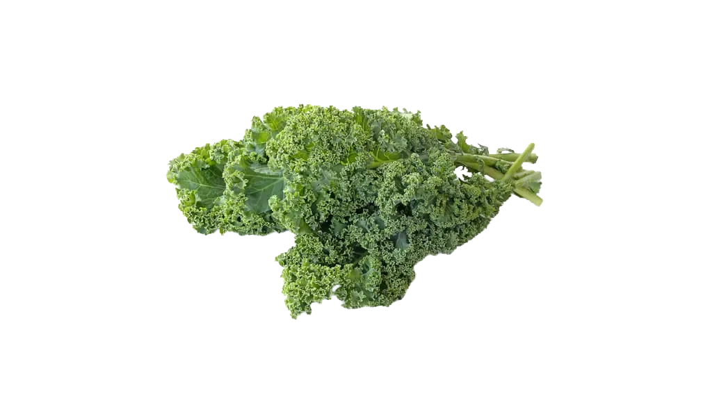 Federkohl