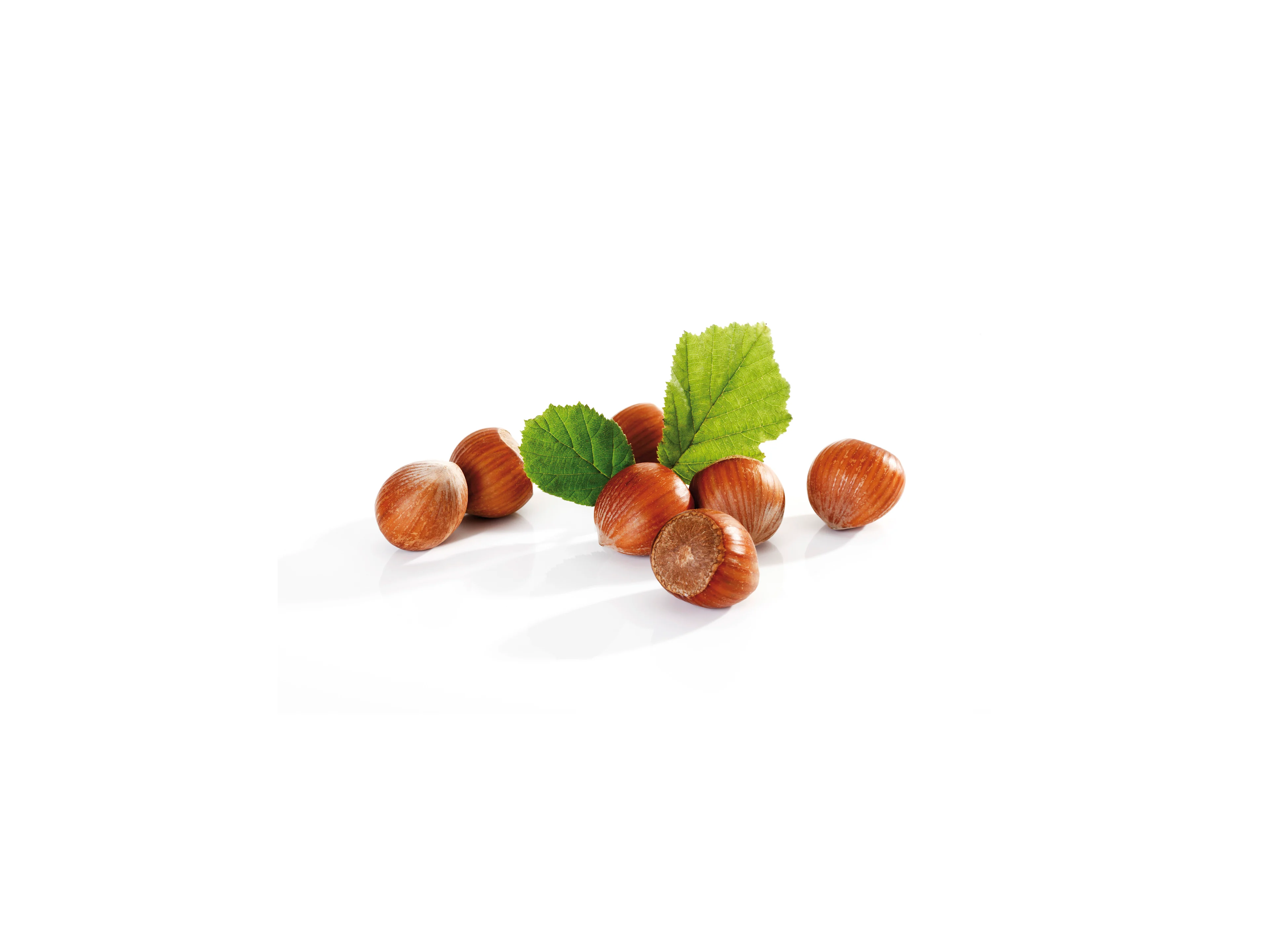 Nocciola