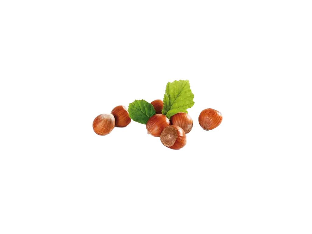 Nocciola